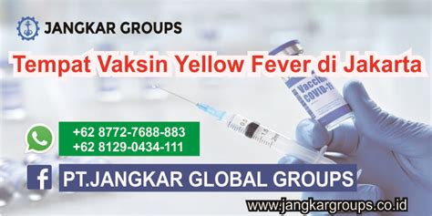 Vaksin yellow fever di solo  PETA LOKASI DI YOGYAKARTA 