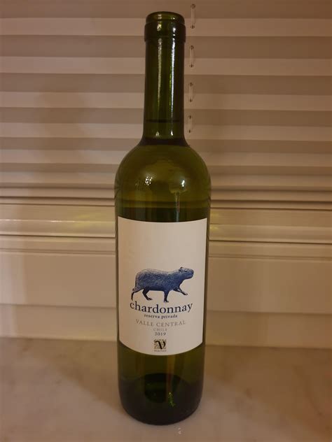 Valle central wine capybara  12 bottles: $20