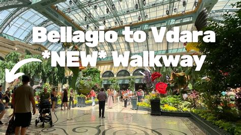 Vdara to bellagio walkway  Be aware that during peak season, Vegas streets buzz with tourists and people enjoying the city, so walking can take a little longer when competing with the extra foot traffic