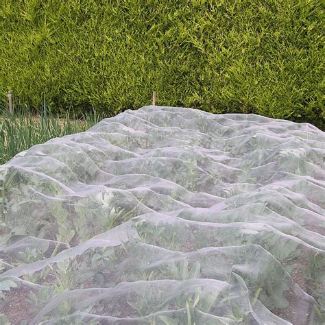 Veggiemesh ultra fine  This netting can be laid directly over the crops, over hoops or cages