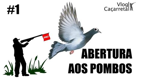 Venda de portas para caça aos pombos  40 € Usado