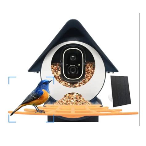  Smart Bird Feeder Camera, Hummingbird Watching Camera with  Motion Detection & Auto Capture Bird, 100° Wide Angle & Waterproof 1080P HD  Night Vision Bird Camera with 32G Card for Bird Lover