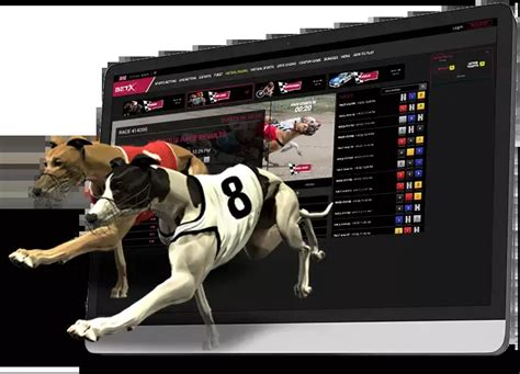 Virtual dog racing odds  Every race begins with a list that shows all the dogs