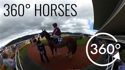 Virtual reality horse racing results  Knowledge is power, especially when you're handicapping