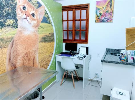 Vivaz hospital veterinário 24h 19 avaliações Av