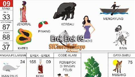 Voli erek erek  tak sedikit dari mereka yang kurang paham dari mimpi yang mereka alami sendiri, dan bila mana anda juga tidak tau, tepat sekali karena pada