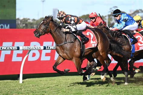 Wagga wagga gold cup field Field Limit: 14 + 4 EM No Last 10 Horse Trainer Jockey Barrier Weight Probable Weight Penalty Hcp Rating; 1: 26x1541x1: RINGAROSA: Gary Portelli