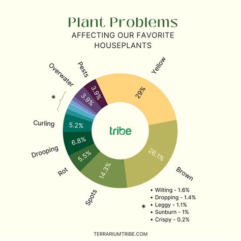 Waitrose houseplants  Particularly popular are the unusual