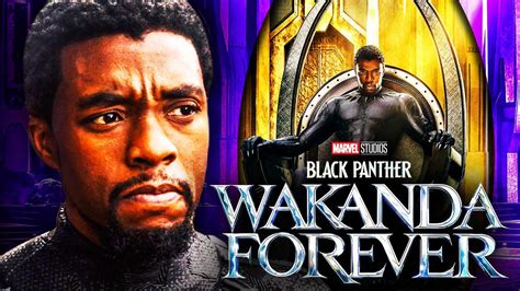 Wakanda4u King T’Challa of Wakanda, AKA Black Panther, becomes the new Chairman of the Avengers team