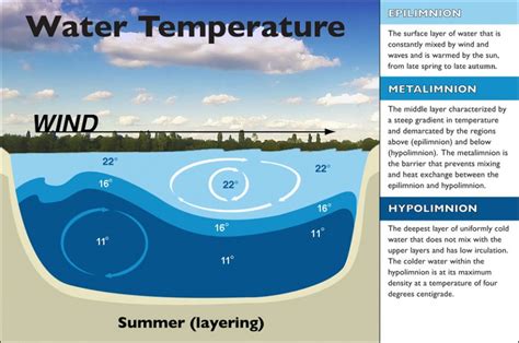 Walloon lake water temperature  The deepest point is debatable — maybe 350 feet