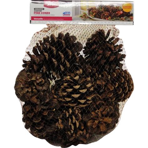 Cinnamon Scented Pinecones 1 lb for Decorating - 40 Pack Small Cinnamon  Pinecones for Crafts and Vase Filler - Cinnamon Fragrance Pine cones