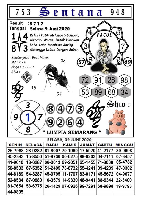 Warungprediksi hk selasa com