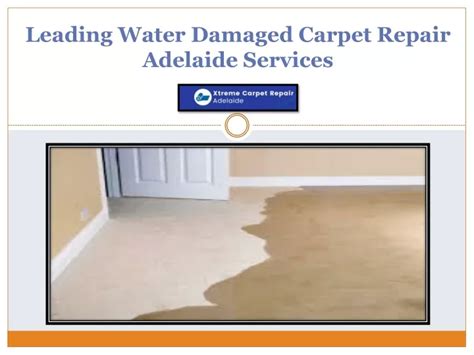 Water damaged carpet repair adelaide  Carpets are costly, and they must be cleaned on a regular basis to keep them looking new