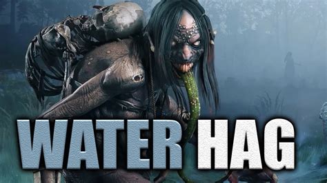 Water hag witcher 3  These effects have a much longer duration, but they also incur Decoction