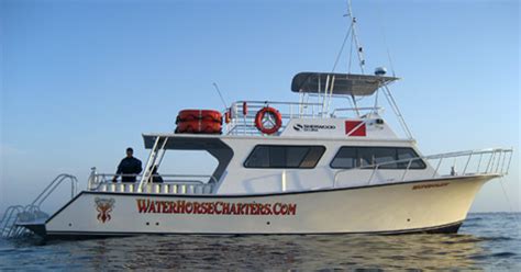 Waterhorse charters san diego  Waterhorse Charters: Great dive company - See 253 traveler reviews, 146 candid photos, and great deals for San Diego, CA, at Tripadvisor