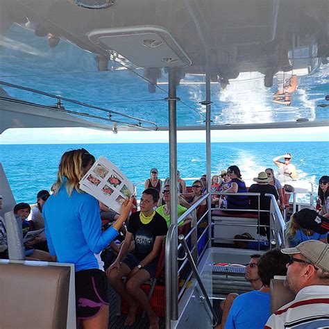 Wavelength reef charters port douglas Wavelength Reef Charters: Very educational, great for snorkellers - See 3,452 traveler reviews, 1,648 candid photos, and great deals for Port Douglas, Australia, at Tripadvisor