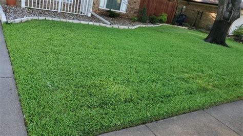 Weed control euless tx All Seasons Pest Control 1101 Arwine Ct Euless, TX (817) 282-2188