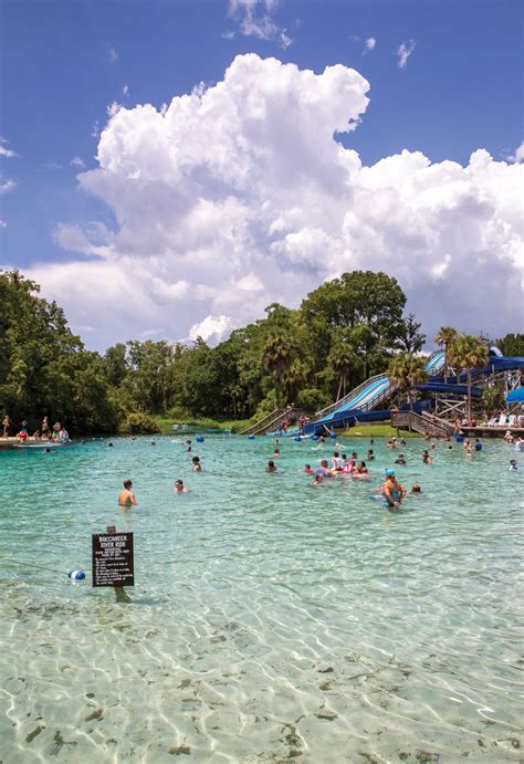 Weeki wachee springs cabins The Weeki Wachee River is between 7 and 12 miles long, according to different sources