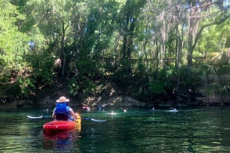 Wekiva island kayak rental  Paddle down the river