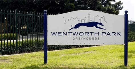Wentworth park greyhounds replays  Tamworth