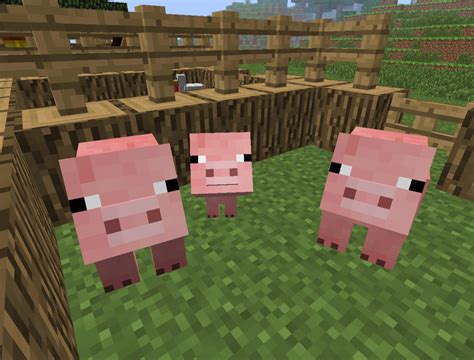 What attracts pigs in minecraft  Zombified Piglins always attack in hordes (Image via CornerHardMC on Twitter) This means that with Sharpness V, whether in Bedrock or Java, a Netherite sword will