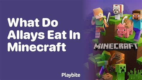 What do allays eat in minecraft  Do allays turn into vexes?In Minecraft, updates are constantly being released and new blocks, items, and, of course, mobs are added