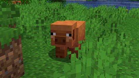 What lures pigs in minecraft  Here are the steps you need to follow: First, we need a crafting table