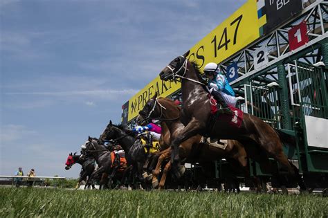 What was the payout for the preakness 