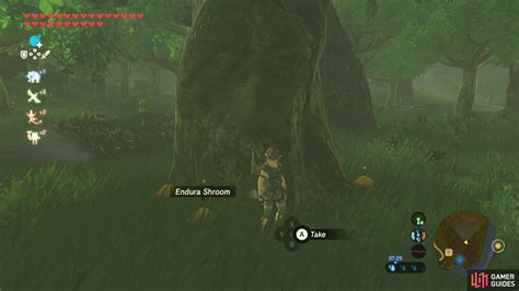 Where to find endura shroom botw  Once cooked and consumed, it temporarily increases your stamina limit,