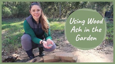 Where to put ash in the garden  Gardenowner