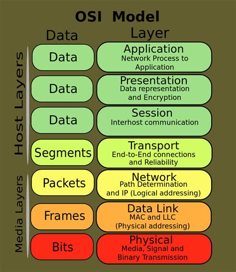 Which layer of osi network model does repeater works  This layer actually deals with making connection of two distinct station points