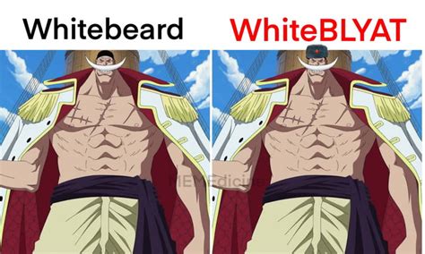 Whitebeard nsfw  After a brief battle, Oden begs Whitebeard to let him join his crew