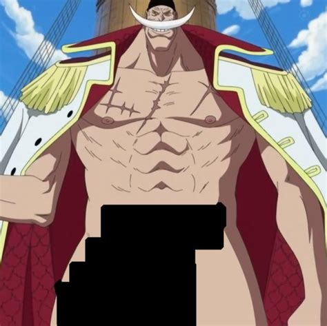 Whitebeard one piece cock  No other sex