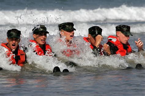 Why do seals cry  Popular culture, for its part, has always known the value of a good cry as a way to feel better — and maybe even to experience physical pleasure