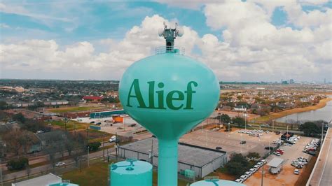 Why is alief called the swat T