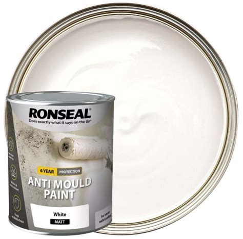 Wickes anti mould paint  FREE Click & Collect within 30 minutes