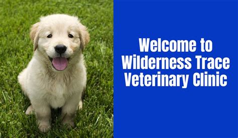 Wilderness trace vet  Related Pages