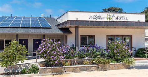 Wildflower boutique motel  There is a terrace and guests can make use of free WiFi and free private parking
