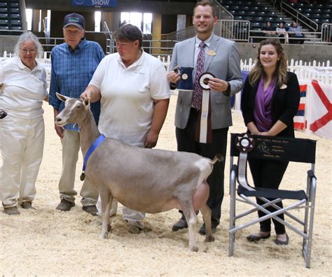 Wildon county fair  Tuesday - Friday: 4:00 PM Saturday: 12:00 Noon