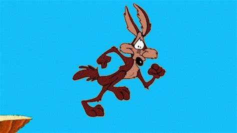 Wile e coyote running off cliff gif  10000+ high-quality GIFs and other animated GIFs for Free on GifDB