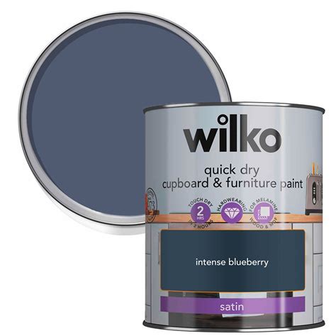 Wilko intense blueberry paint 00