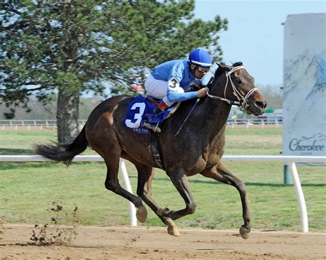 Will rogers downs picks  Racing News