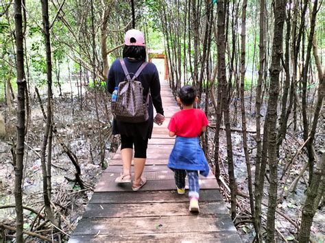 Wisata zona mangrove kasih sayang  Taman Wisata Alam Angke Kapuk, DKI Jakarta