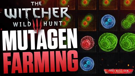 Witcher 3 blue mutagen farming 
