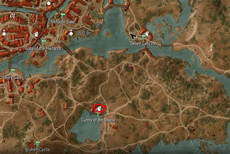 Witcher 3 cunny of the goose location  Region