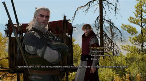 Witcher 3 failable quests  Notable Items: Deargdeith and Katakan mutagen