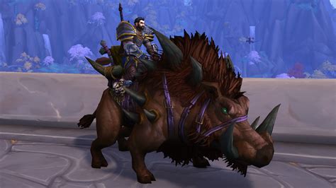 Wow mount collecting  Live PTR 10