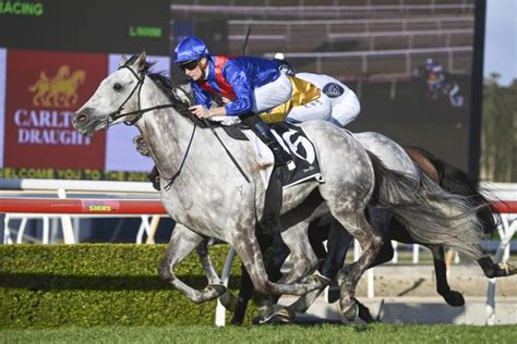 Wyong race results 1st $19,700, 2nd $7,050, 3rd $3,700, 4th $2,150, 5th $1,300, 6th $1,100, 7th $1,000, 8th $1,000, 9th $1,000, 10th $1,000, Equine Welfare Fund $600 , Jockey Welfare Fund $400