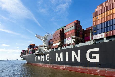 Yangming empty return  Yang Ming’s current lease at the West Basin Container Terminal ends in 2021