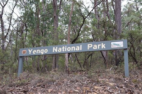 Yengo national park accommodation Latest travel itineraries for Yengo National Park in November (updated in 2023), book Yengo National Park tickets now, view reviews and 1 photos of Yengo National Park, popular attractions, hotels, and restaurants near Yengo National ParkEnjoy a full day experiencing World Heritage Listed Yengo National Park, in the Hunter Valley region of New South Wales